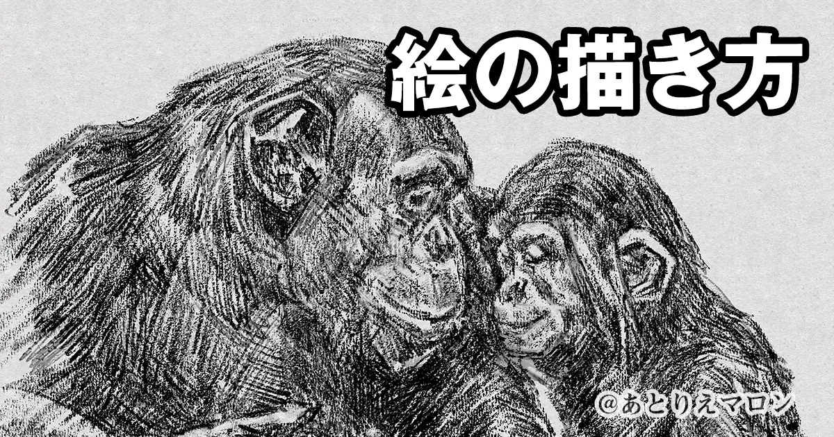 動物画の描き方｜猿編